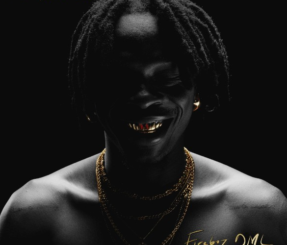 10 Nigerian Albums That Got Us All Talking In 2024