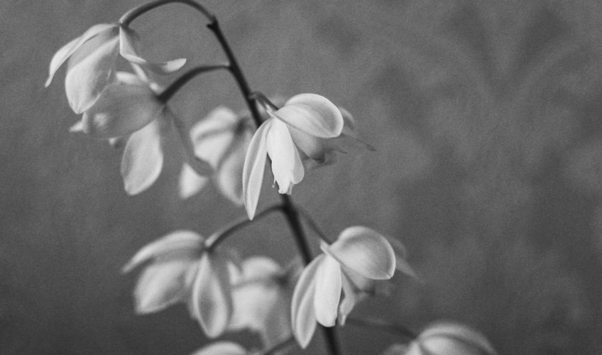 8 Ways To Get Over Your Heartbreak