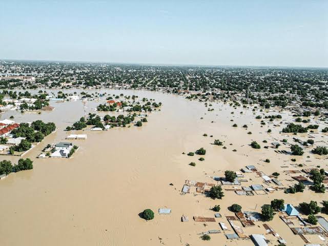 Top Stories Tamfitronics Top 5 Stories Of The Day | NEMA Opens Up IDP Camps Around Borno as 1 Million People were Affected by the Flood