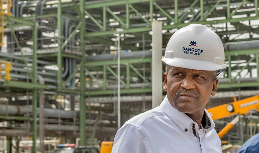 Top 5 Stories of the Day | Dangote Reduces Price of Fuel to ₦860/litre in Lagos State