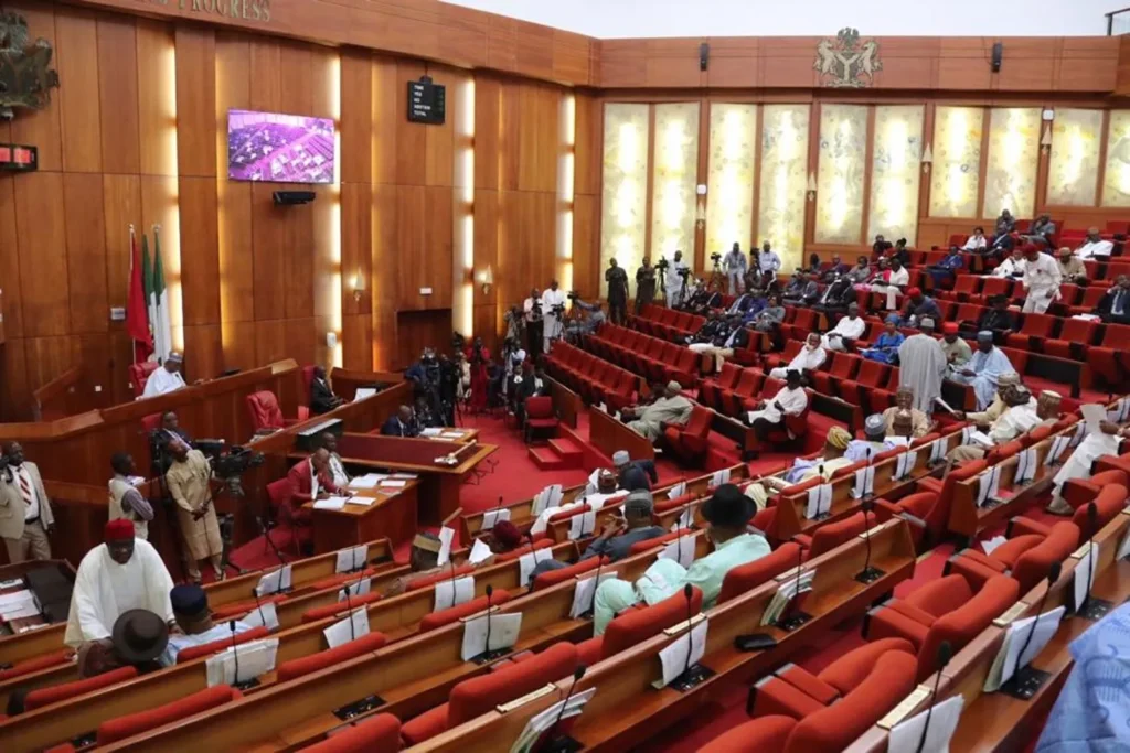 Top 5 Stories Of The Day | Tension Rises as Ezekwesili Clashes with Senate Committee over Natasha's petition