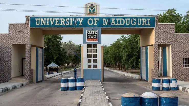 Top 5 Stories of the Day | States Oppose Electricity Act Amendment, Warn of ₦5tn Subsidy Burden