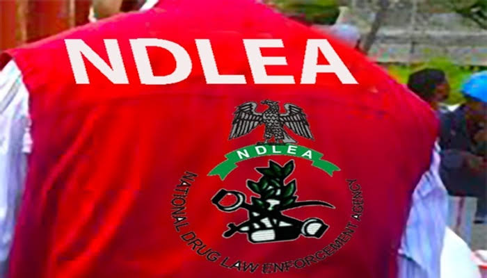 Top 5 Stories Of The Day | Nigeria Begins Deportation of 42 Asians Convicted of Cybercrime