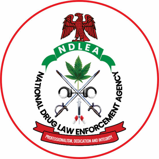 Top 5 Stories Of The Day | NDLEA, Education Ministry to Begin Drug Tests for Tertiary Students