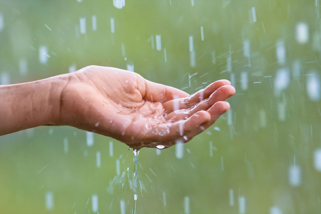 5 Important Tips To Take Note Of To Avoid Being Rained On