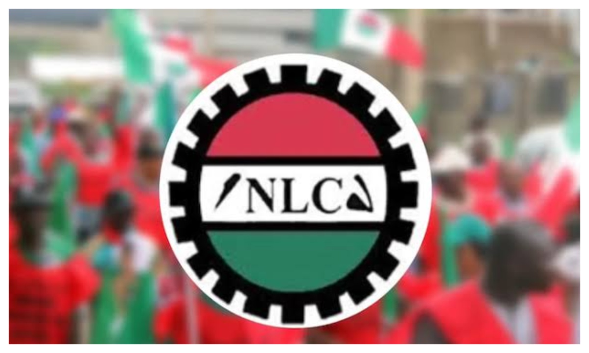 Top 5 Stories Of The Day | NLC Exposes Nigeria’s Lack of Safeguards Against Global Shocks