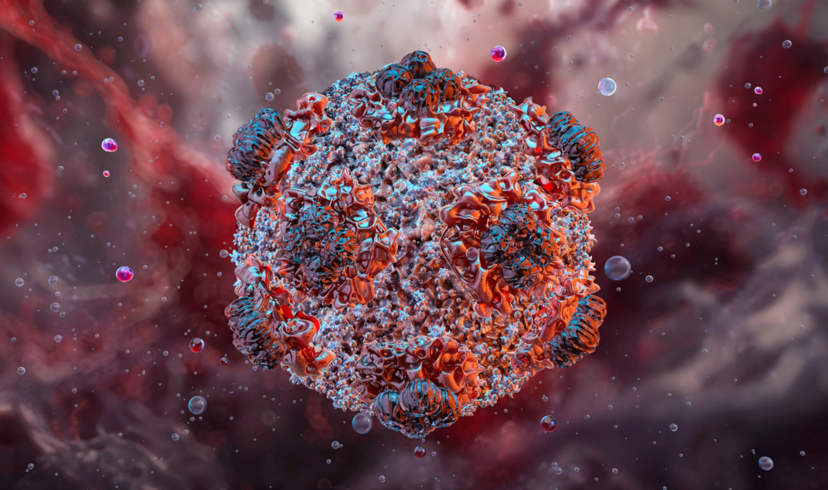 What is Hantavirus and How is it Transmitted?