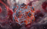 What is Hantavirus and How is it Transmitted?