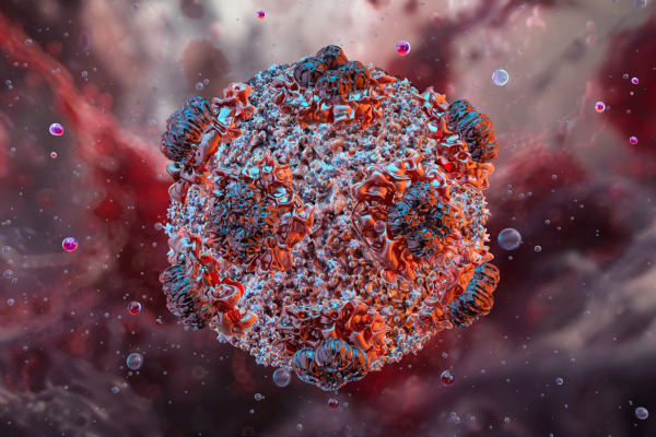 What is Hantavirus and How is it Transmitted?
